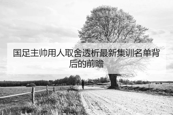 国足主帅用人取舍透析最新集训名单背后的前瞻